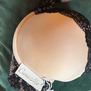 Bare Necessities BUNDLE!
Set of 2, 38DD by Camino Mio +FREE Matching lace thong!